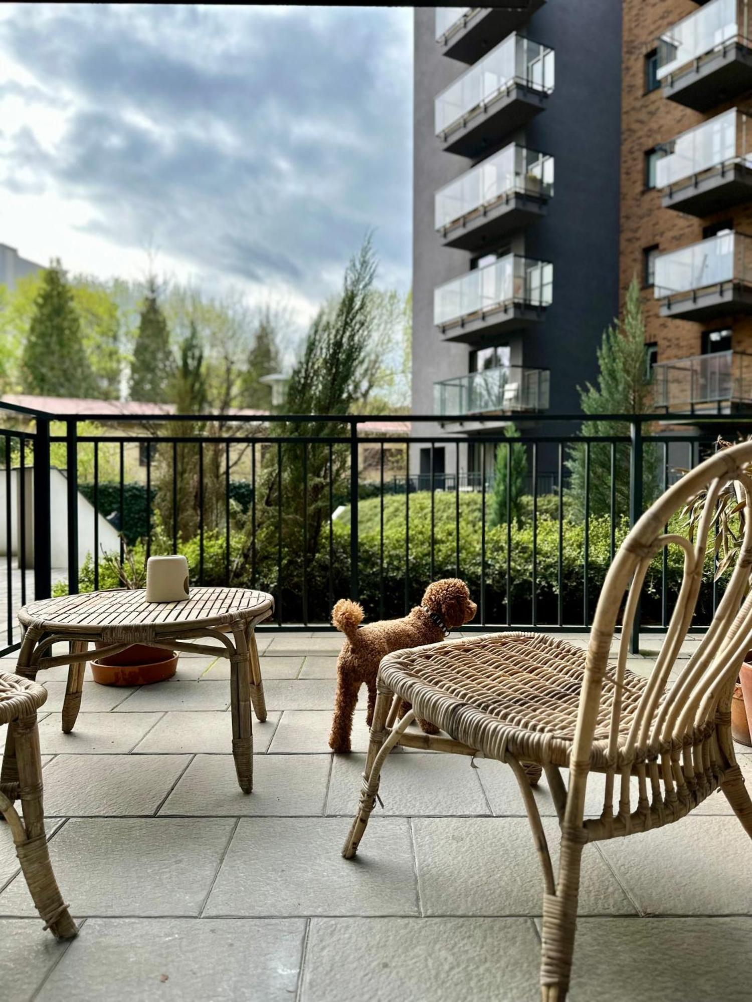 Pure Apartment N°1 Breslau Exterior foto
